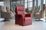 Sta op stoel / relaxfauteuil Toro van De Toekomst in leer met 2 motoren.