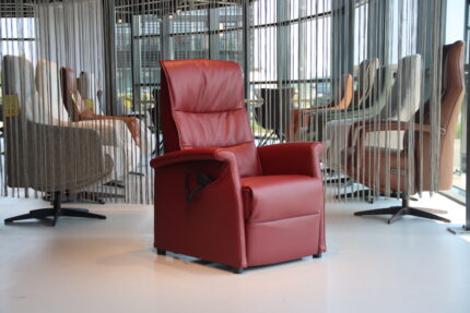 Sta op stoel / relaxfauteuil Toro van De Toekomst in leer met 2 motoren.